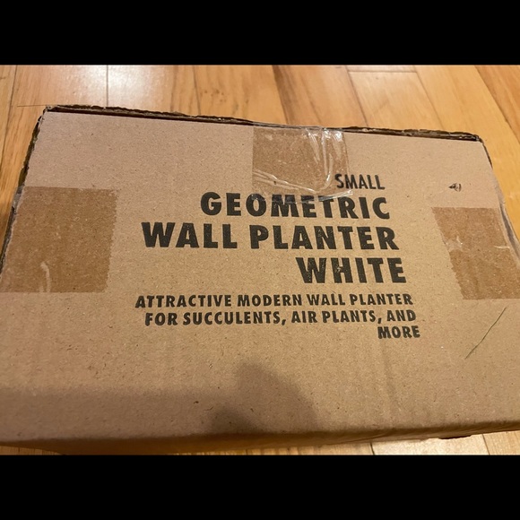 California Home Goods Geometric Wall Planter Small Set of 2 - Picture 11 of 14